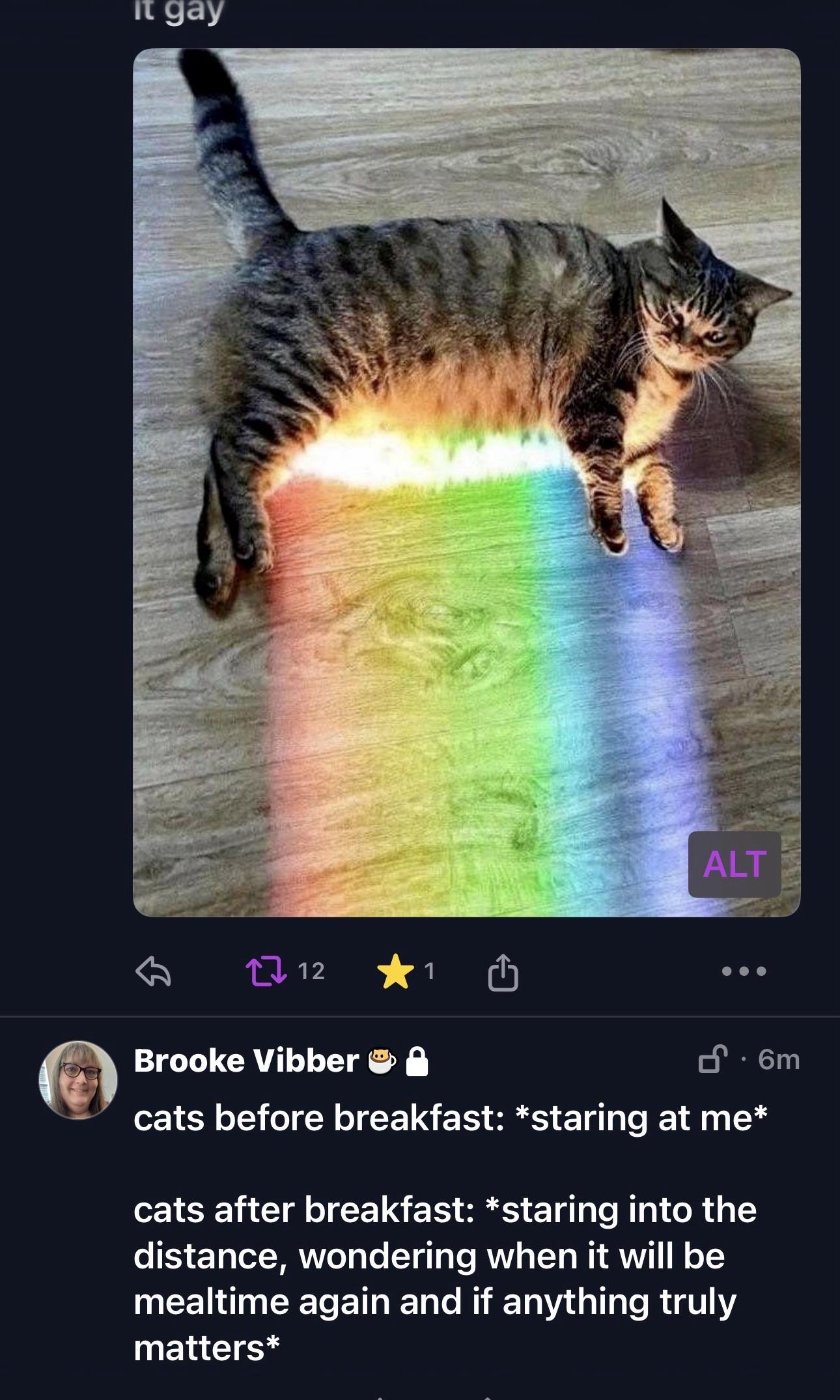 Link Preview Image